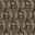 5842 Desert Paisley