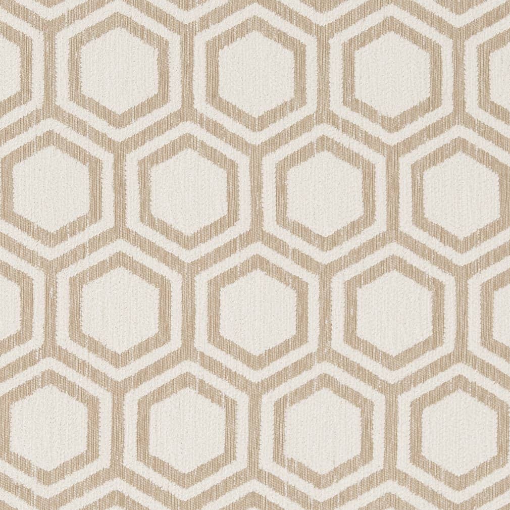 D1635 Sand Dollar