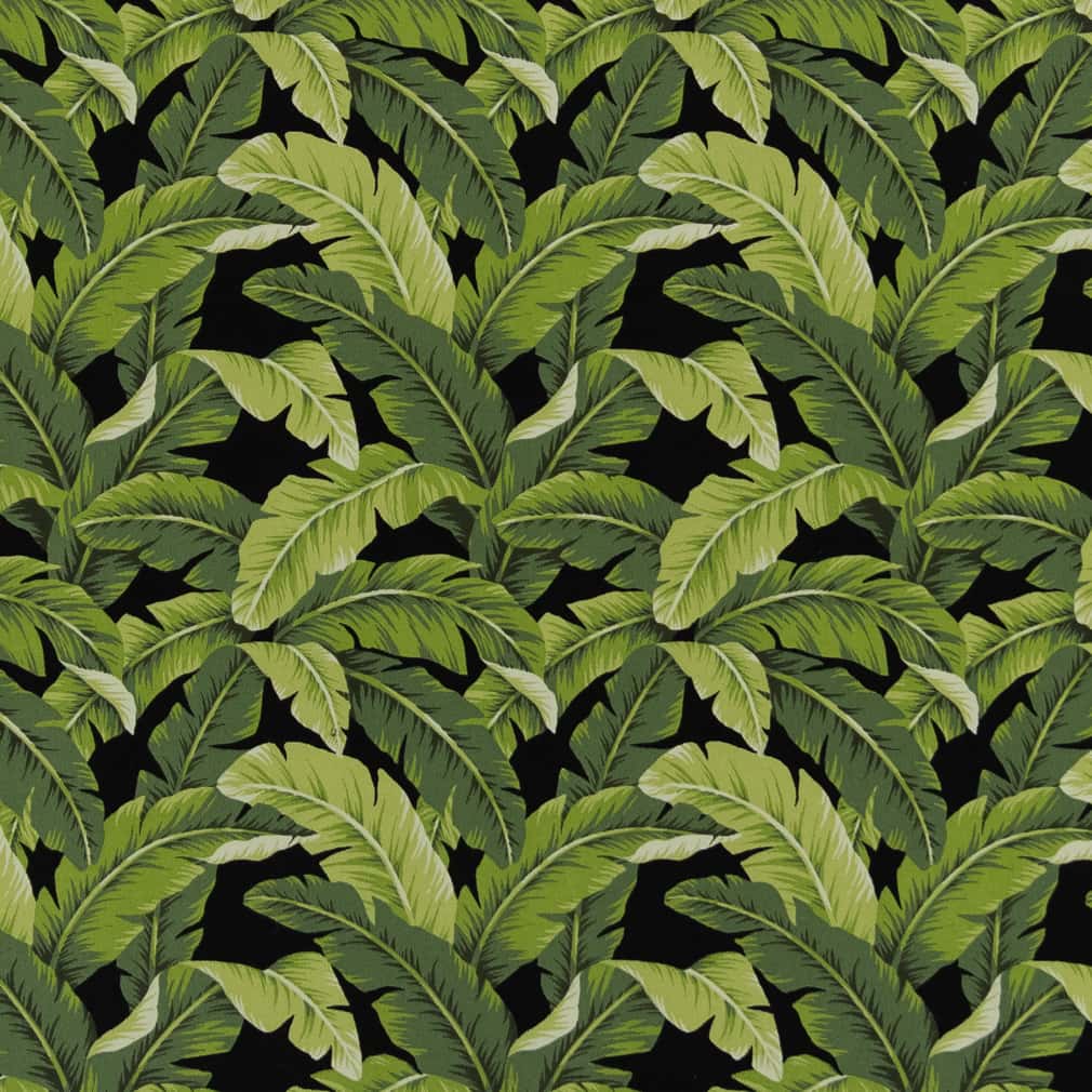 D2715 Rainforest